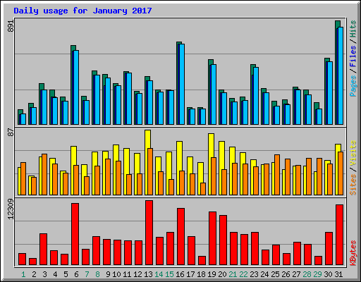 Daily usage for January 2017
