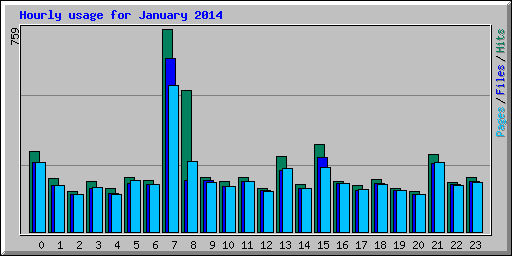 Hourly usage for January 2014