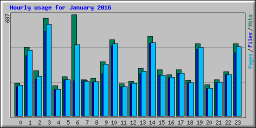 Hourly usage for January 2016