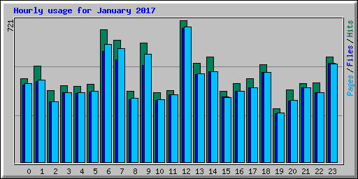 Hourly usage for January 2017